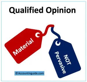 Qualified Opinion