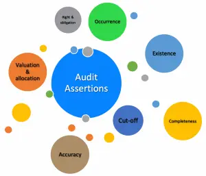 Audit Assertions